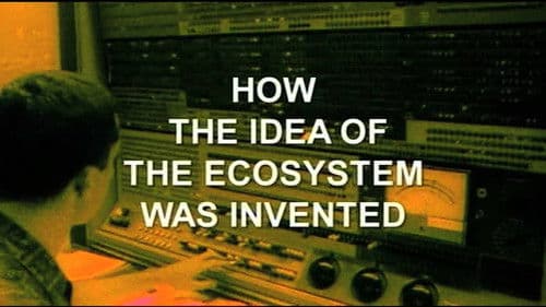 All Watched Over by Machines of Loving Grace Bild 5