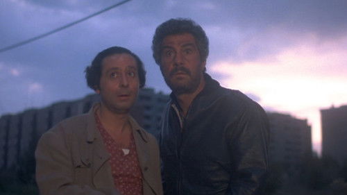 Testa o croce Bild 1