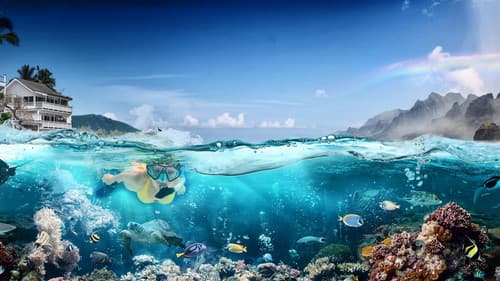 Traumhaus gesucht: Hawaii Bild 1