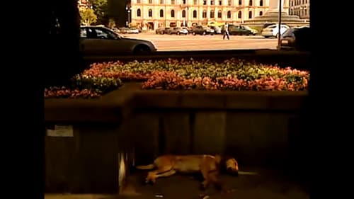 ნეტავ აღარასდროს მოვიდეს ზაფხული Bild 5