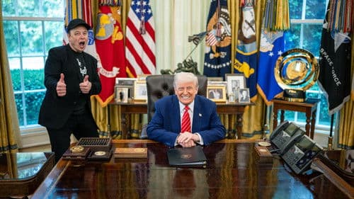 Trumps Amerika - Macht, Wandel, Widerstand Bild 3