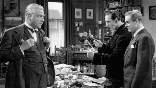 Das Haus des Schreckens Bild 2