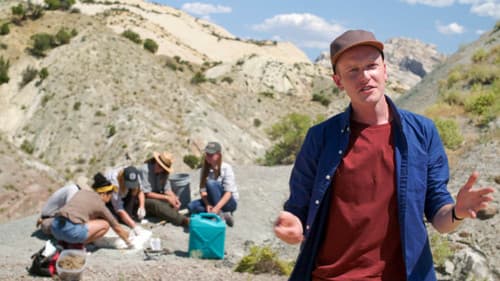 Weird But True! Bild 5