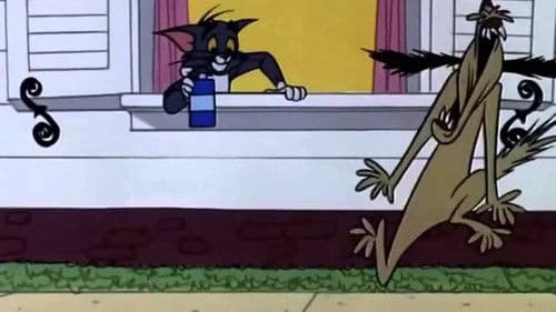 Toms schlaflose Nächte Bild 1