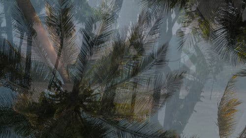 cada vez me cuesta más regresar de allí... Bild 5