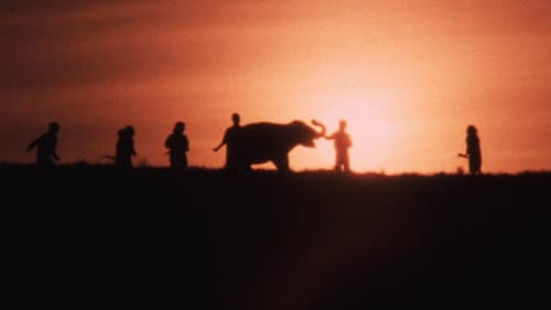 子象物語 地上に降りた天使 Bild 3