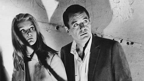 Die verschlossene Tür Bild 4