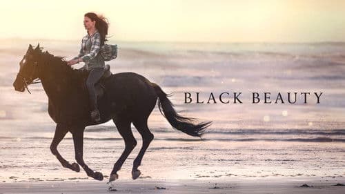 Black Beauty Bild 3