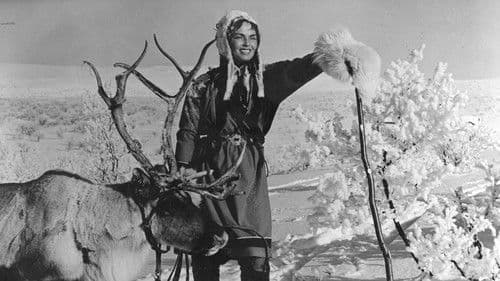 Das weiße Rentier Bild 5