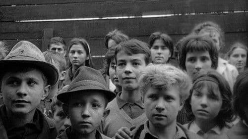 Čovek nije tica Bild 4