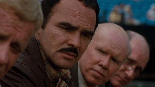 Sharky und seine Profis Bild 6