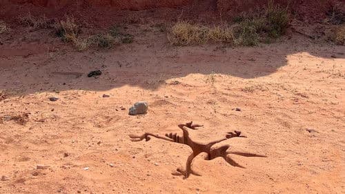 Coyote vs. Acme Bild 8