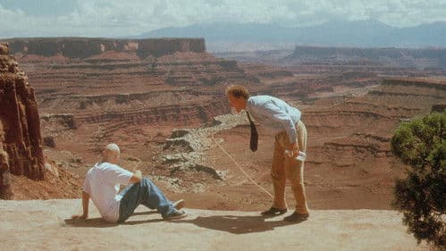 The Sunchaser Bild 6