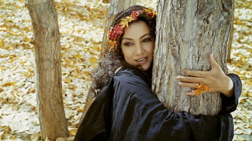 The Wishing Tree Bild 2