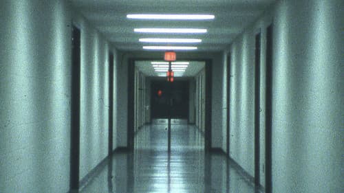 Serene Velocity Bild 1