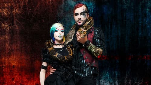 Outsiders with Darren McMullen Bild 8