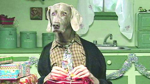 Fay's 12 Days of Christmas Bild 1