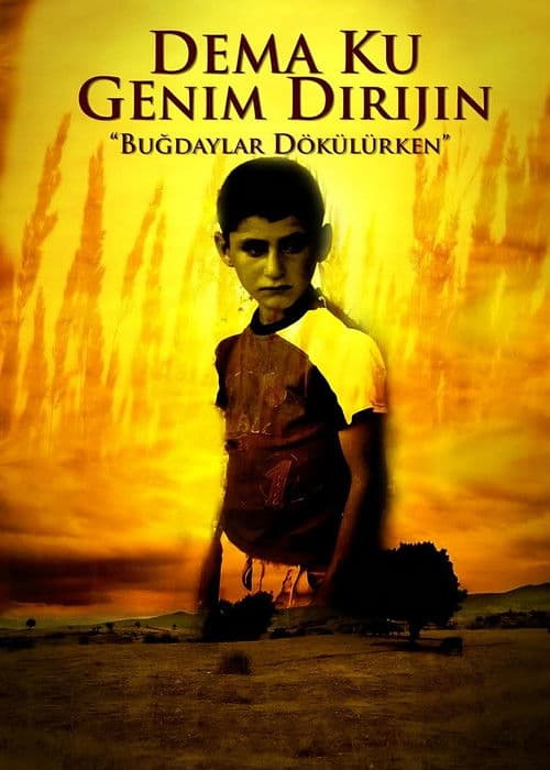 Dema ku genim dirijin