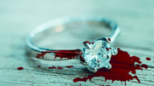 Framed By My Fiancé Bild 2