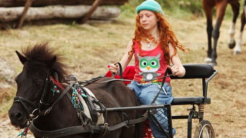 Mein Freund Shadow Bild 7