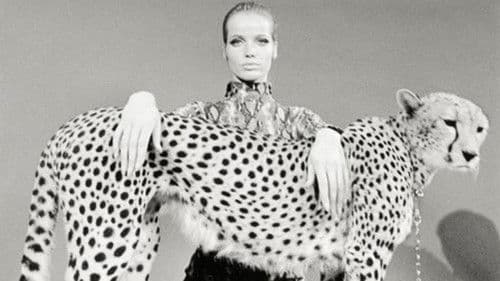 Veruschka - poesia di una donna Bild 1