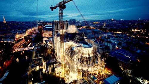 Notre-Dame Reborn Bild 1