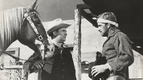 Last of the Pony Riders Bild 2