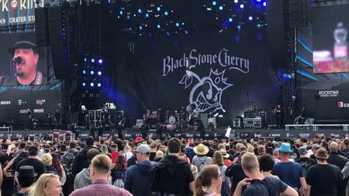 Black Stone Cherry - Rock Am Ring 2018 Bild 1