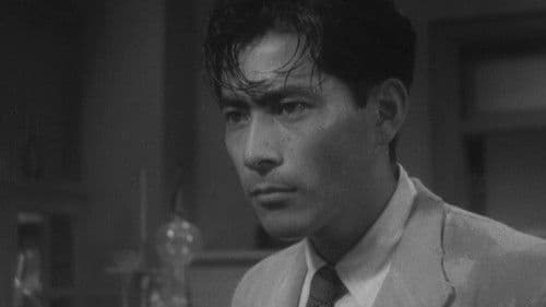 Ein streunender Hund Bild 5