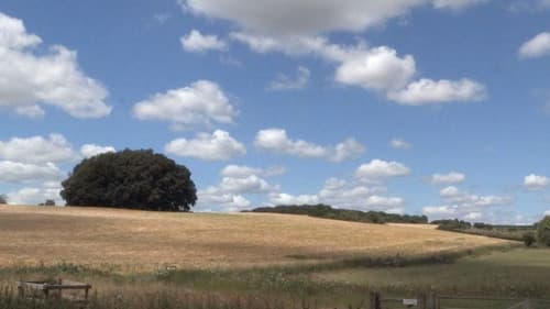 Seven Days To Sidmouth Bild 1