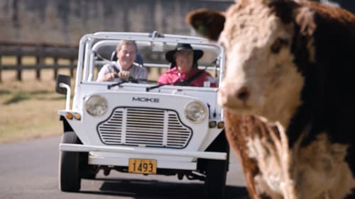 Chasing the Light: Norfolk Island Bild 3