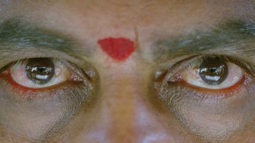 మర్యాద రామన్న Bild 8