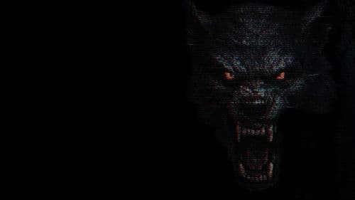 The Fairfield County Four Bild 1