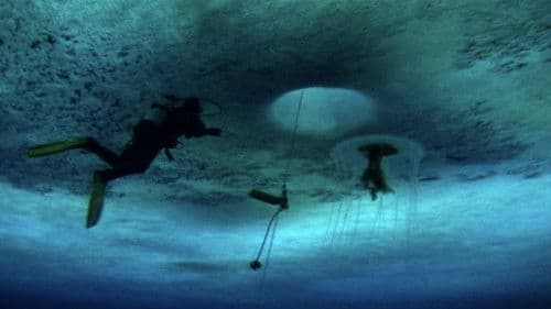 The Wild Blue Yonder Bild 4