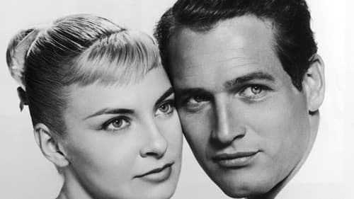 Der lange heiße Sommer Bild 8