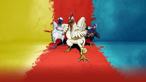 Rooster Fighter Bild 3