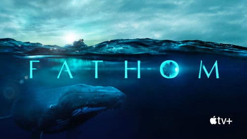 Der Klang der Tiefe Bild 8