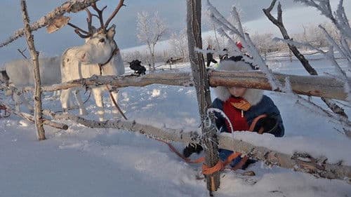 Into the Land of Ice and Fire Bild 4