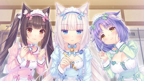 NekoparA Bild 6