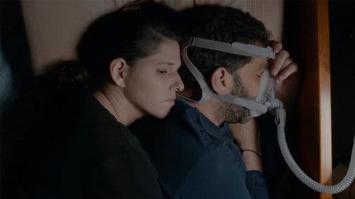 להעיר את הדב Bild 5