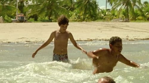 Sem Coração Bild 2