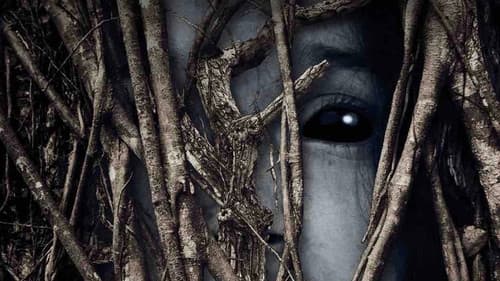 Behind the Trees Bild 3