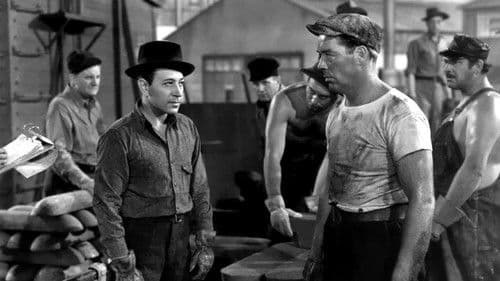 12 Monate Bewährungsfrist Bild 6