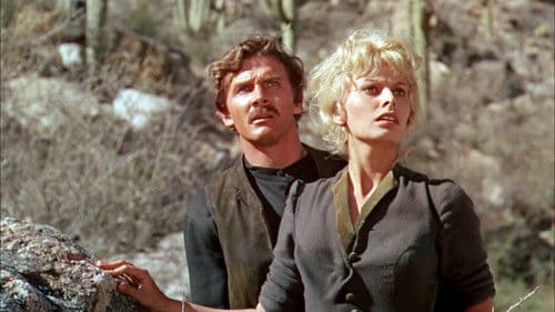 Die Dame und der Killer Bild 8