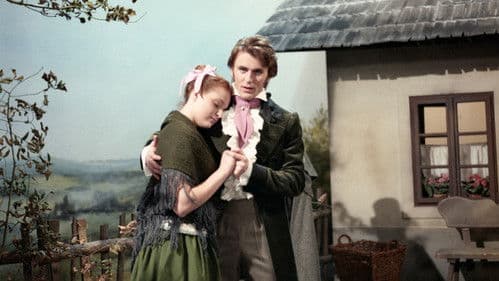 Perníkářka a větrný mládenec Bild 1