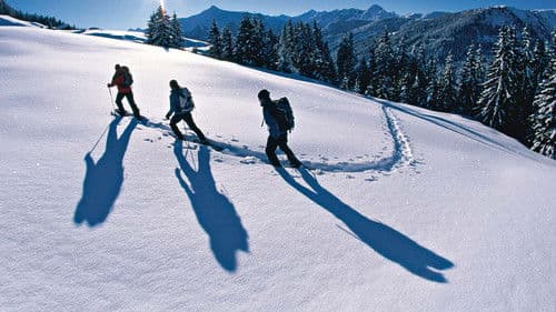 Winter Essentials Bild 1