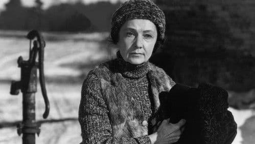 Naine kütab sauna Bild 1