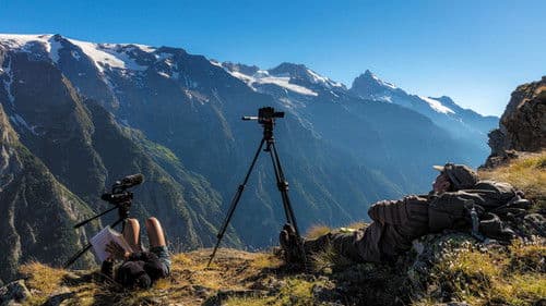 Unterwegs mit den Wölfen Bild 7