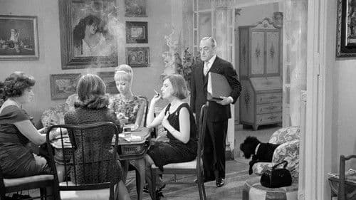 Il comandante Bild 6