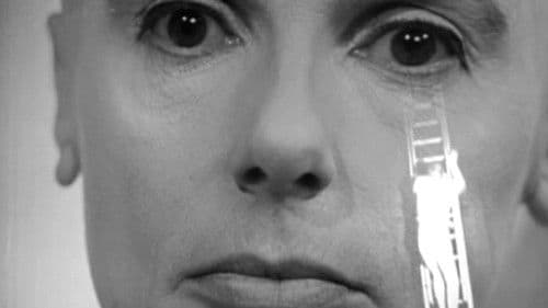 The Machine Stops Bild 1